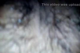 Vide de costenos desnudos