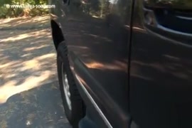 Xxporno video animal.com