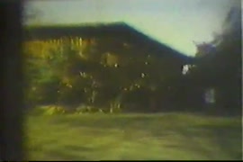 Vides pornos de cecudaria