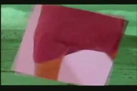 Descargar foto de vajinas feas