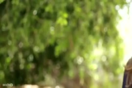 Como pisarla a una cuarentona