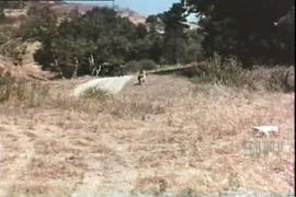 Espiando mujeres en el bosque