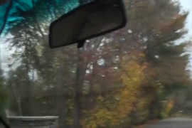 Videos de brazzer musculosas lesbicas